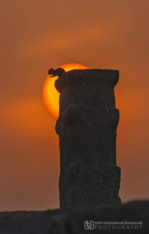 Khushi Cottage Hampi Dış mekan fotoğraf